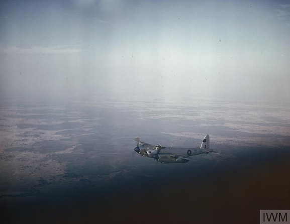 IWM-photo-of-Mosquito-(1)_web IWM-photo-of-Mosquito-(1)_web