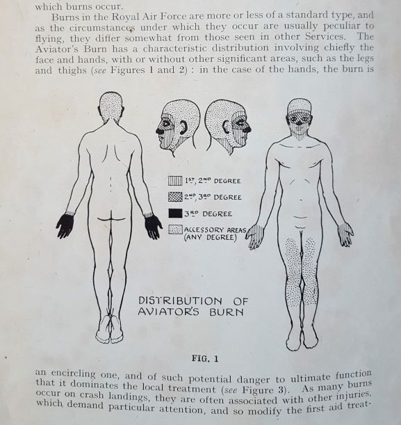 Aviator burn diagram_web Aviator burn diagram_web